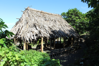 Close-up of the Indigenous house reconstruction at Limahuli Garden.